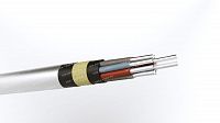 Кабель АКРВБГ 10х6